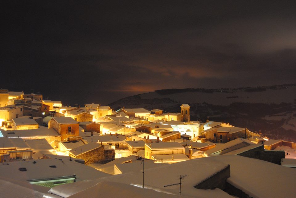 Bovino Neve