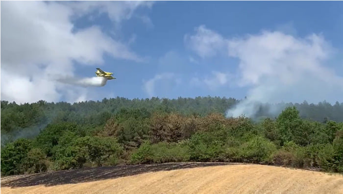 AREA INTERNA MONTI DAUNI, I SINDACI CHIEDONO IL PIANO ANTINCENDIO BOSCHIVO. 